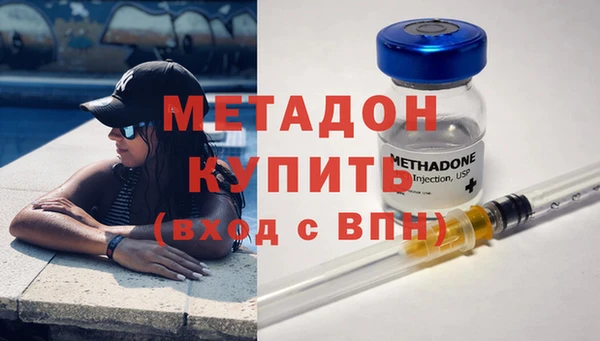 прущие грибы Верхний Тагил