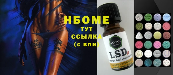 прущие грибы Верхний Тагил