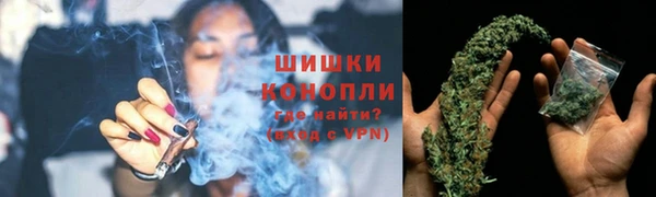 прущие грибы Верхний Тагил