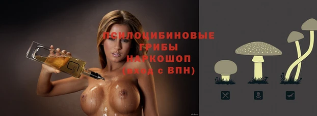 прущие грибы Верхний Тагил